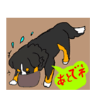 バーニーズのバニーくん（個別スタンプ：1）