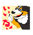 バーニーズのバニーくん（個別スタンプ：2）