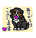 バーニーズのバニーくん（個別スタンプ：3）