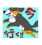 バーニーズのバニーくん（個別スタンプ：7）