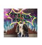 コンタさんの日常04（個別スタンプ：16）