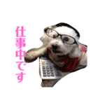 リルボーイ（個別スタンプ：1）