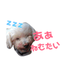 リルボーイ（個別スタンプ：2）