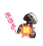 リルボーイ（個別スタンプ：3）