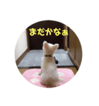 リルボーイ（個別スタンプ：6）