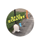 リルボーイ（個別スタンプ：7）