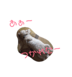 リルボーイ（個別スタンプ：8）
