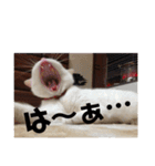 鉄♡陽（個別スタンプ：2）