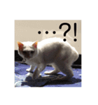 鉄♡陽（個別スタンプ：11）