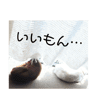 鉄♡陽（個別スタンプ：13）