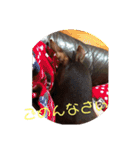 鉄♡陽（個別スタンプ：21）