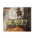 鉄♡陽（個別スタンプ：23）