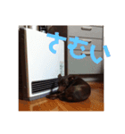 鉄♡陽（個別スタンプ：24）