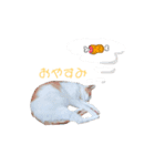 しーちゃん猫（個別スタンプ：5）