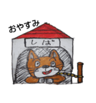 日本犬     柴犬（個別スタンプ：8）