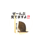 ベンガルライちゃん1（個別スタンプ：29）