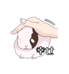 うさぎの「だいふく」（個別スタンプ：3）