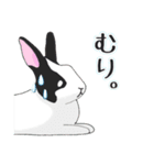 うさぎの「だいふく」（個別スタンプ：5）