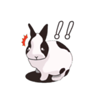 うさぎの「だいふく」（個別スタンプ：7）