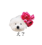 ぼくふぁーふぁ（個別スタンプ：1）