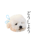 ぼくふぁーふぁ（個別スタンプ：10）