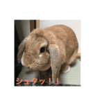 日常会話アッサム（個別スタンプ：3）