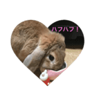 日常会話アッサム（個別スタンプ：4）