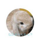 日常会話アッサム（個別スタンプ：6）