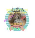 日常会話アッサム（個別スタンプ：8）