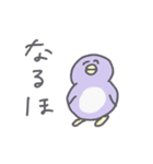 パステルペンギンくんの使えるスタンプ（個別スタンプ：2）