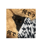 大木のゴン太2（個別スタンプ：3）