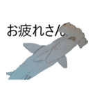 お魚！（個別スタンプ：7）