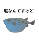 お魚！（個別スタンプ：10）