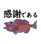 お魚！（個別スタンプ：11）