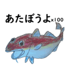 お魚！（個別スタンプ：16）