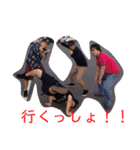 新松戸ザウルス（個別スタンプ：13）