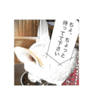 ワンコニャンコ（1）（個別スタンプ：14）