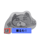 ハチワレぱいん（個別スタンプ：6）