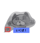 ハチワレぱいん（個別スタンプ：8）