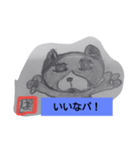 ハチワレぱいん（個別スタンプ：11）
