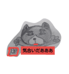 ハチワレぱいん（個別スタンプ：13）