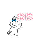日々マルチーズ（個別スタンプ：2）