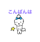日々マルチーズ（個別スタンプ：4）