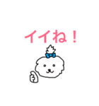 日々マルチーズ（個別スタンプ：5）