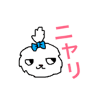 日々マルチーズ（個別スタンプ：14）