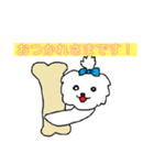 日々マルチーズ（個別スタンプ：16）