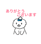 日々マルチーズ（個別スタンプ：19）