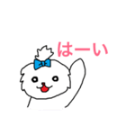 日々マルチーズ（個別スタンプ：20）