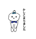 日々マルチーズ（個別スタンプ：21）