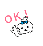 日々マルチーズ（個別スタンプ：22）